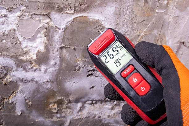 Best Crawl Space Mold Removal  in Penndel, PA