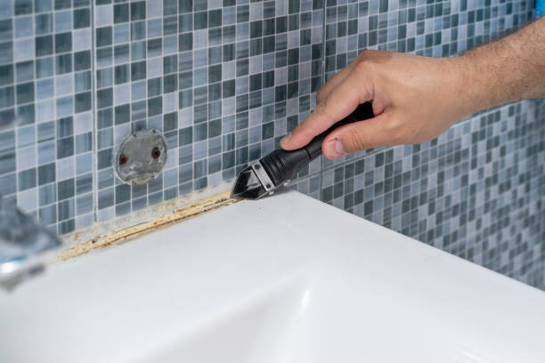 Best Fast Mold Removal  in Penndel, PA