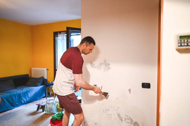 Best Home Mold Removal  in Penndel, PA
